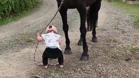 Little Girl Leads The Horse