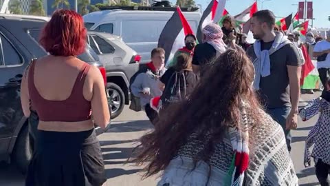 This is a very antifa style trick. Palestine supporters stop a Israel flag.