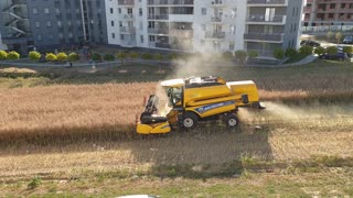 Farmer That Refused to Sell Land Harvests Between Apartment Buildings
