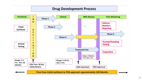 Drug Development Process