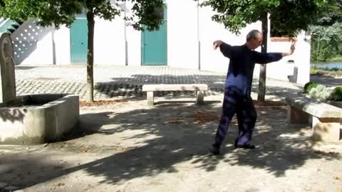 tai chi yang style 3rd part