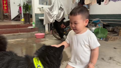 Touch the dog carefully and like it carefully