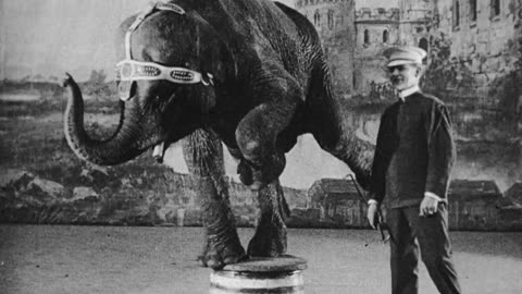 "Jumbo, The Trained Elephant" (1919 Original Black & White Film)