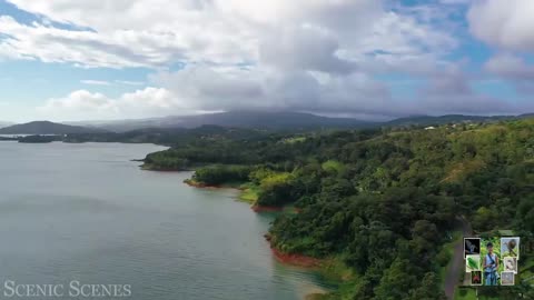 Costa Rica Jungle Beautiful Tropical Rainforest - Part 02