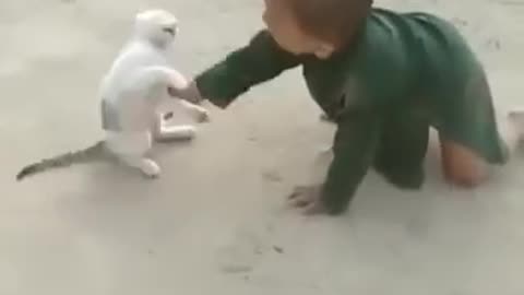 Wow Little kid playing with cat