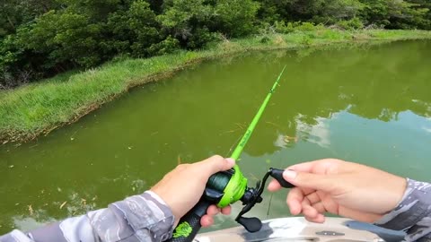 Fishing for 15lb Bass w/ Topwater in HIDDEN Trophy Pond!