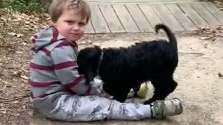 LABRADOODLE PUPPY PLAYING WITH BABY