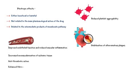 Atorvastatin _- Everything You Need To Know _Mechanism Of Action, Adverse Effects & Indications