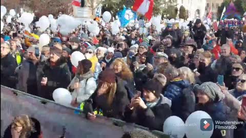 Wiener Ärztedemo mit Dr. Hubmer-Mogg, Roland Düringer, Madeleine Petrovic & Sänger Taylor