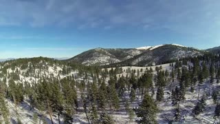 Mountain forest with snow (aerial)