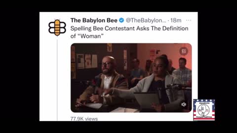 Woke | Spelling bee gone wrong!!! But clearly the satirism shows the craziness of what we’re fighting