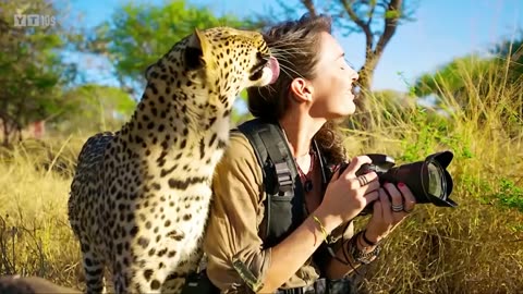 Lion Surprised Wildlife Photographers When He was Taking Pictures of a Pride