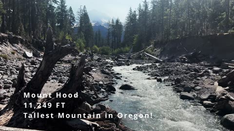 CROSSING BACK ACROSS SANDY RIVER @ Ramona Falls! | 4K | Timberline | Mount Hood Wilderness | Oregon