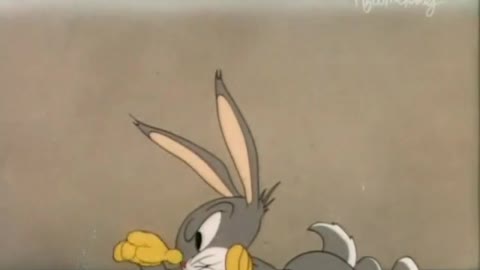 Elmer's Pet Rabbit #popcoorn #cartoon #bugsbunny