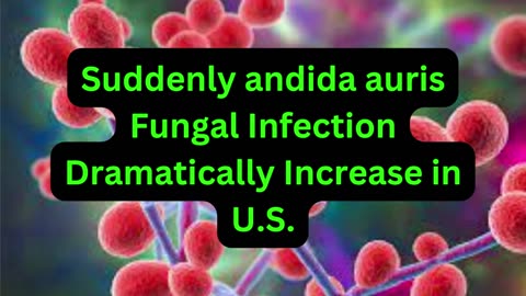 candida auris Fungal Infection Dramatically Increase in U S | Candida auris Fungal news |