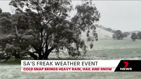 Snow falls in parts of South Australia amid flood warnings for mid north towns | 7NEWS