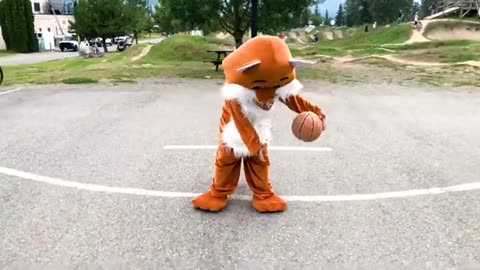 Adorable Fernie Fox Takes on Luxury Hotel Life and Nails the Basketball Court!