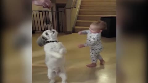 Baby Copies Dog