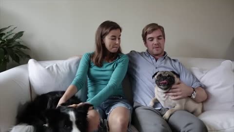 What you need to know about Pugs? Check out this video and see.