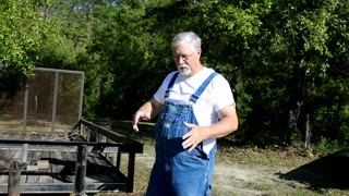 Chicken Coop build for young chickens