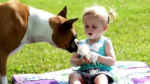 Boxer dog, little girl and ice cream cone