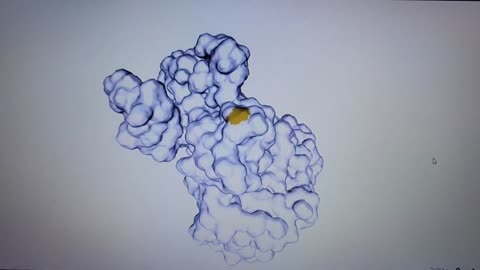 3D Surface Model Discussion of the Envelope Coronavirus Protein