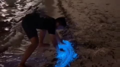 Bioluminescent Plankton Glow on Beach in the Maldives