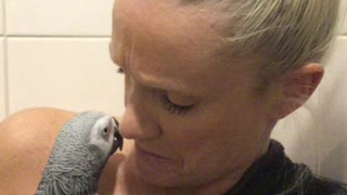 Parrot ask mommy for cuddles before shower