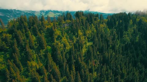 Dronevideo 4K View over Woods and Valley