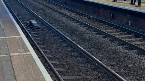 Saving a Dog on Track Whilst Train is Coming