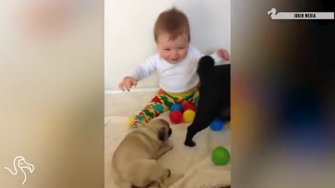 Babies Laughing At Pets | The Dodo