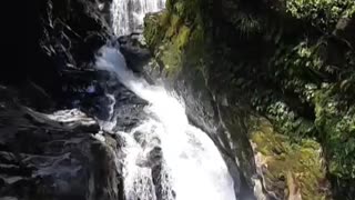 Mew Zealand Waterfall