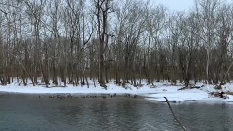 Metro park water