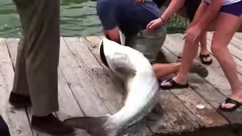 Fish Grabs Man's Arm