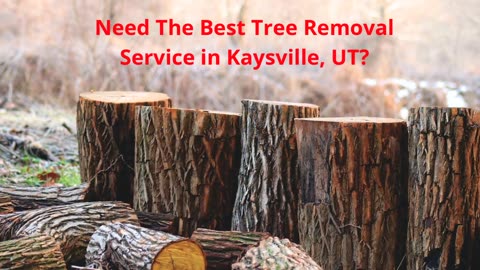 Timber Cuts Tree Removal Service in Kaysville, UT