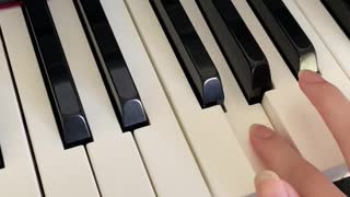 Mocha the Highland Lynx Cat Loves Piano