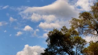 White Cylindrical Object Spotted in the Clouds
