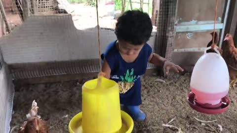 Baby Kato Boon Saves Chicken From Scorpions