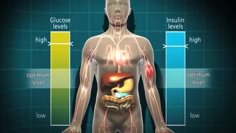 Diabetes and the body Diabetes UK