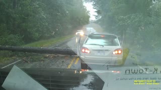 Tree Almost Lands On Car During Hurricane Irma