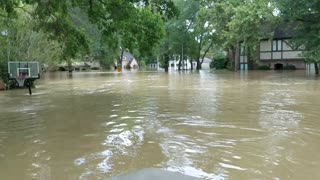 Neighborhood Underwater