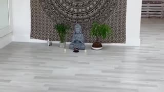 Yoga Studio