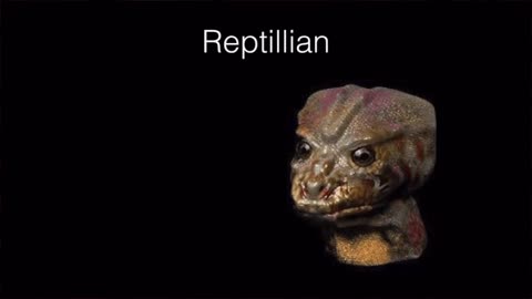 YPX News on Reptilians