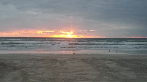 Sunrise on the seashore