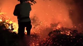 Incendios forestales arrasan Indonesia y el humo se extiende a países vecinos