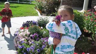 Toddler Pushes Stroller With Dressed Up Chicken Around A Front Yard