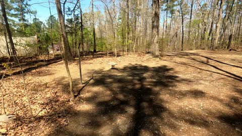 Hiking the White Oak Creek Greenway in Cary NC Part 4