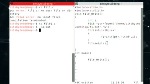 How to Write Data in file using C program?By BitsBytes