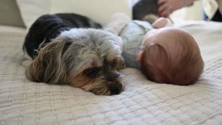 Cat and baby are two cute good friends