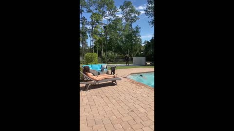 German Shepherd Dog Protects Woman & Kid at The Pool, Dog Attacks intruder!